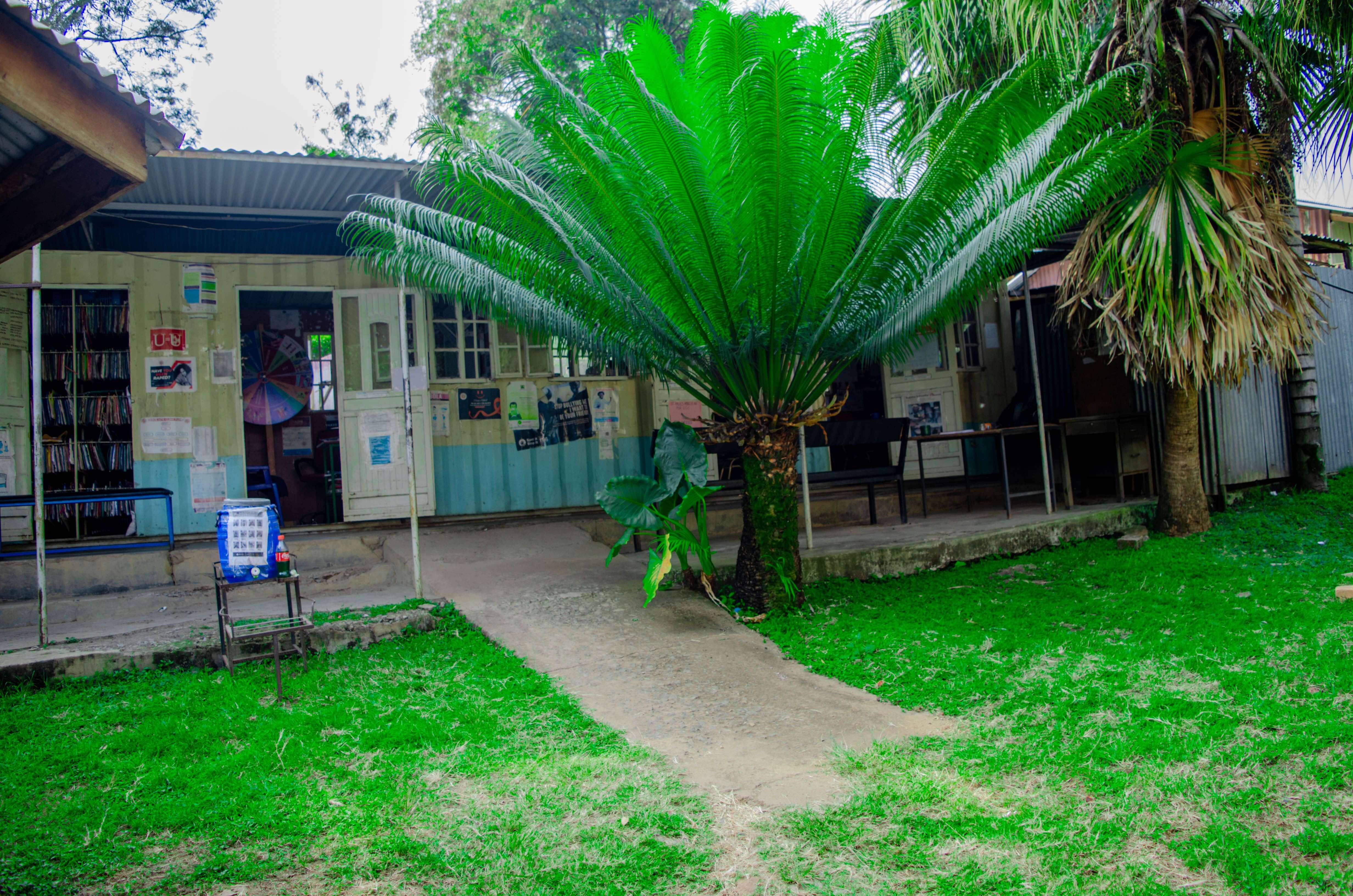 Outpatient & General Consultation